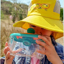 Koala Explorer™ – Kit Cientista da Natureza